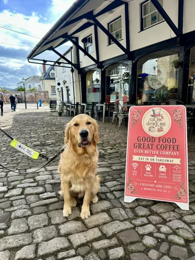A golden retriever sitting on the cobbles beside our sign in Beaufort Arms Court